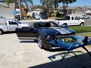 shelby without windshield