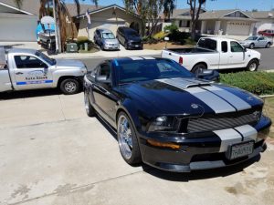 shelby windshield replacement